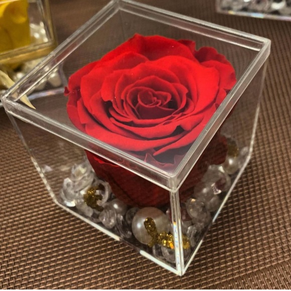 Preserved Rose - Picture 1 of 2